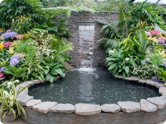 Infinity Pool & Sun Deck